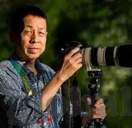 在线观看国产91在线传媒麻豆-警惕网络低俗内容，健康网络在使用中的关键避免点